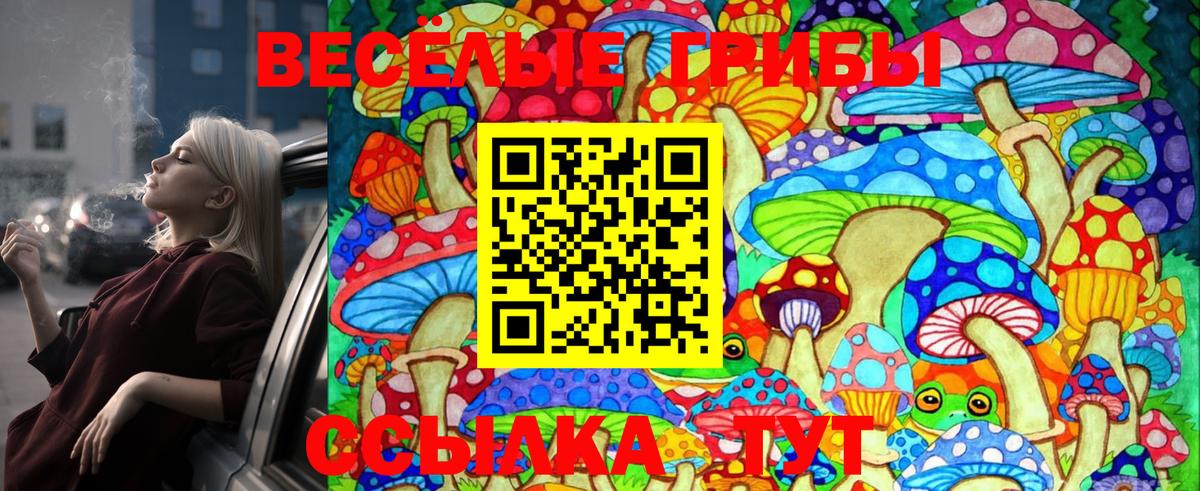 Новозыбков  Галлюциногенные грибы Psilocybe  Галлюциногенные грибы Magic Shrooms  Вход с VPN 